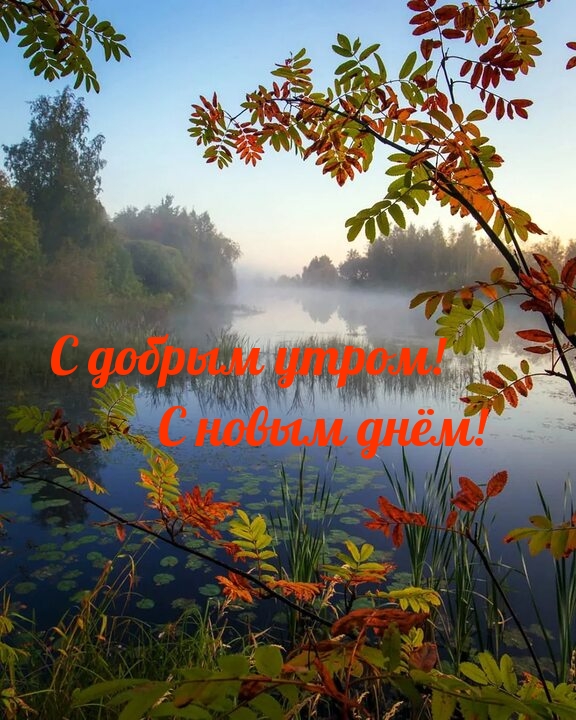   !   !.