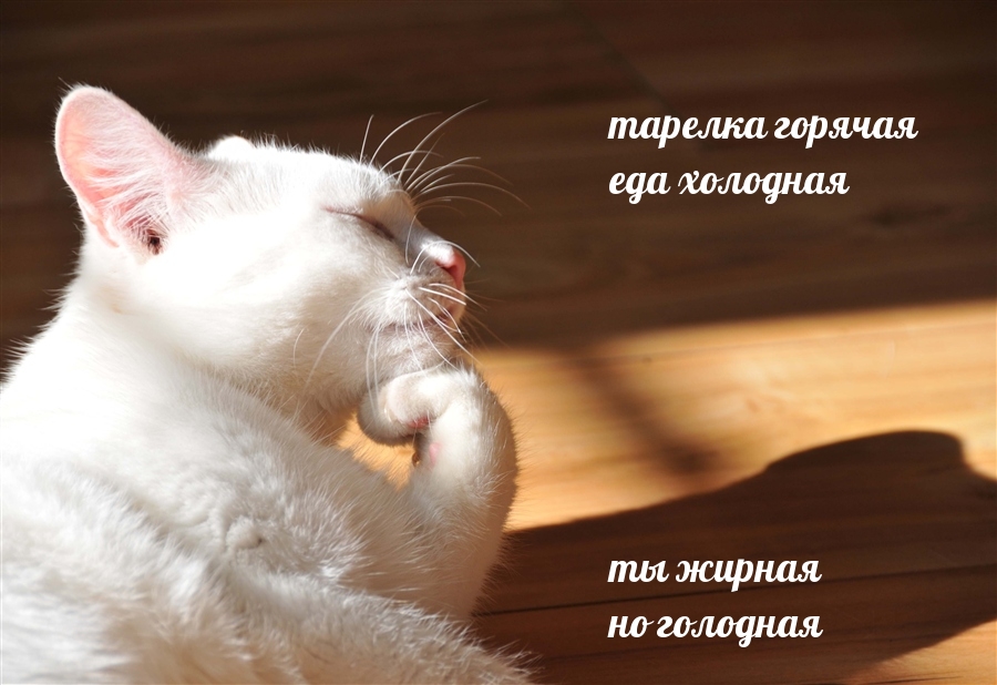  :        