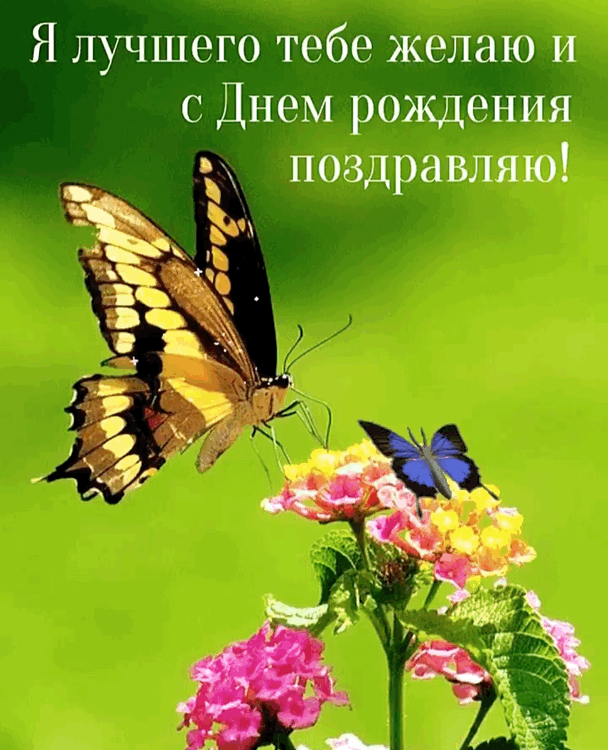   :        !