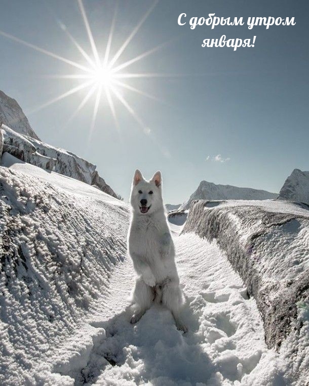    !.