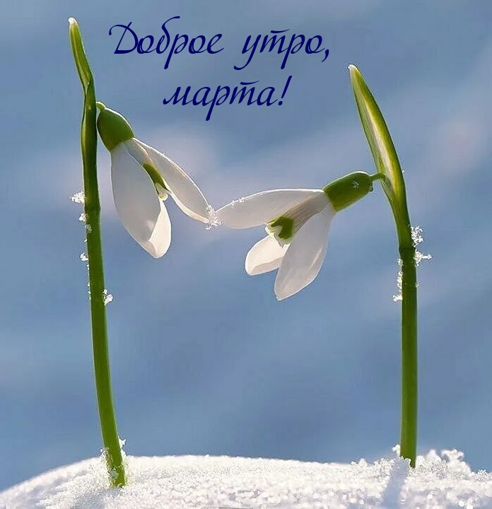 , !.