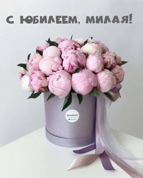  , !.