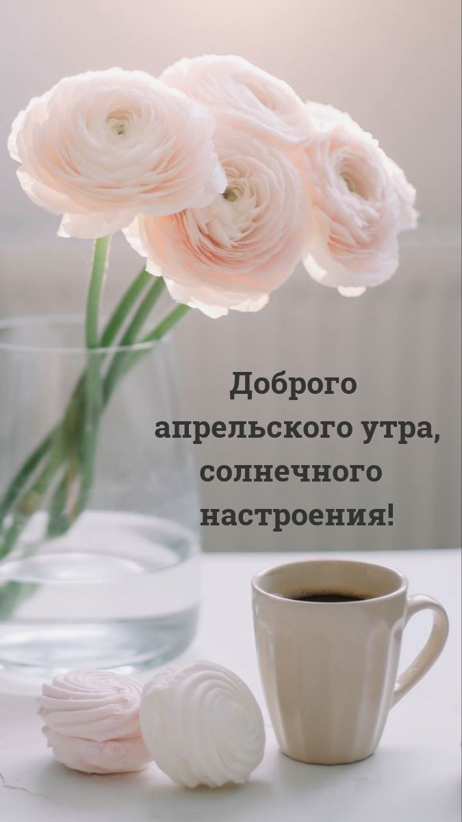 Доброго апрельского утра, солнечного настроения! .