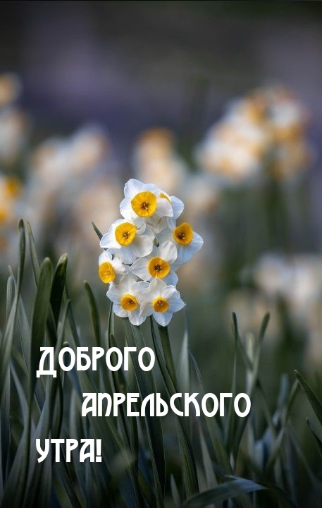   :   !