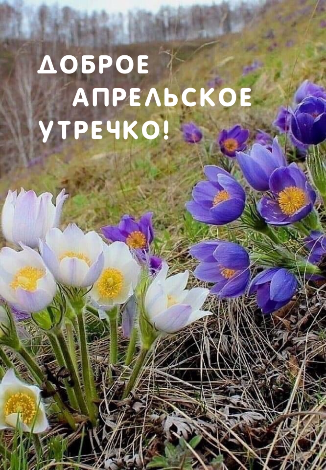   :   !