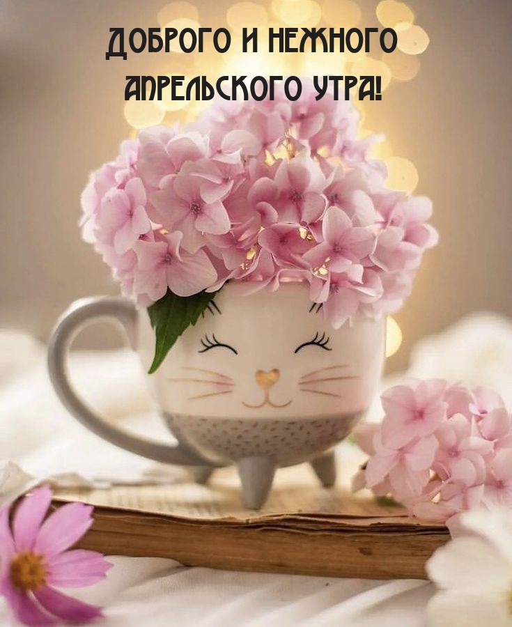   :     !