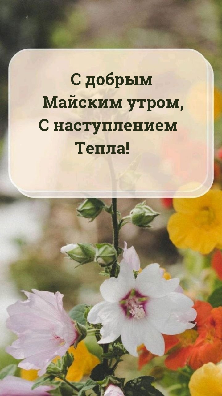 С добрым Майским утром, с наступлением Тепла!.