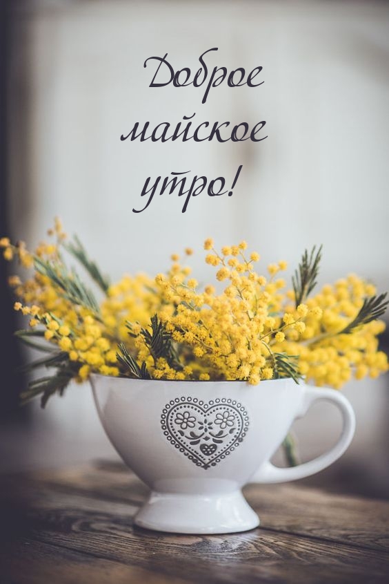  :   !