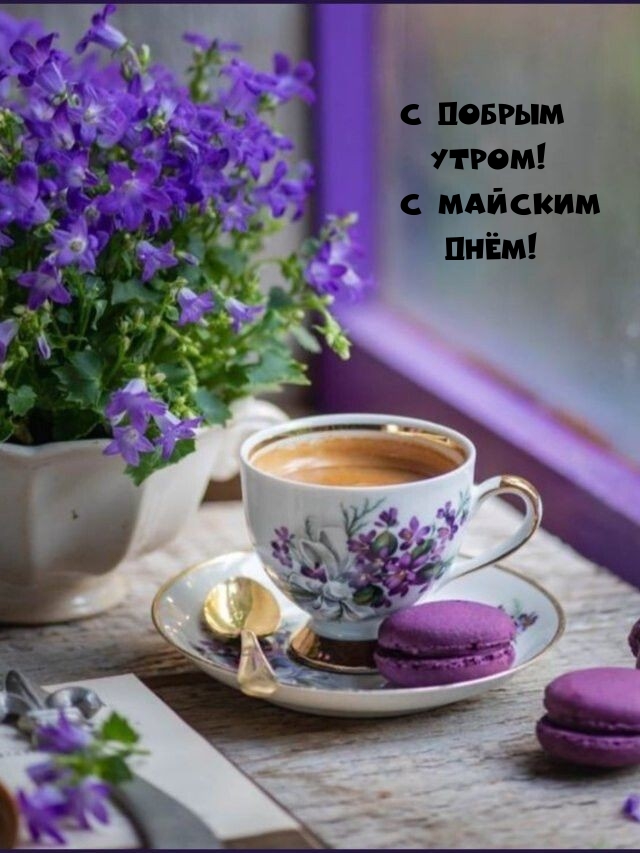 С добрым утром! С майским днём!.