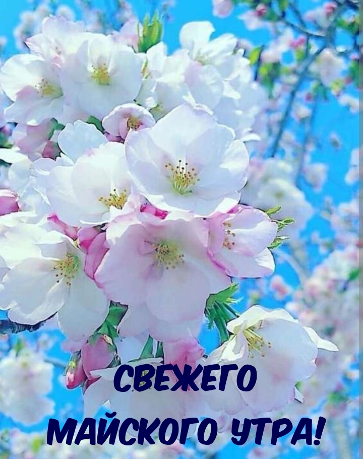   :   !