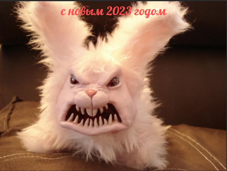   :   2023 