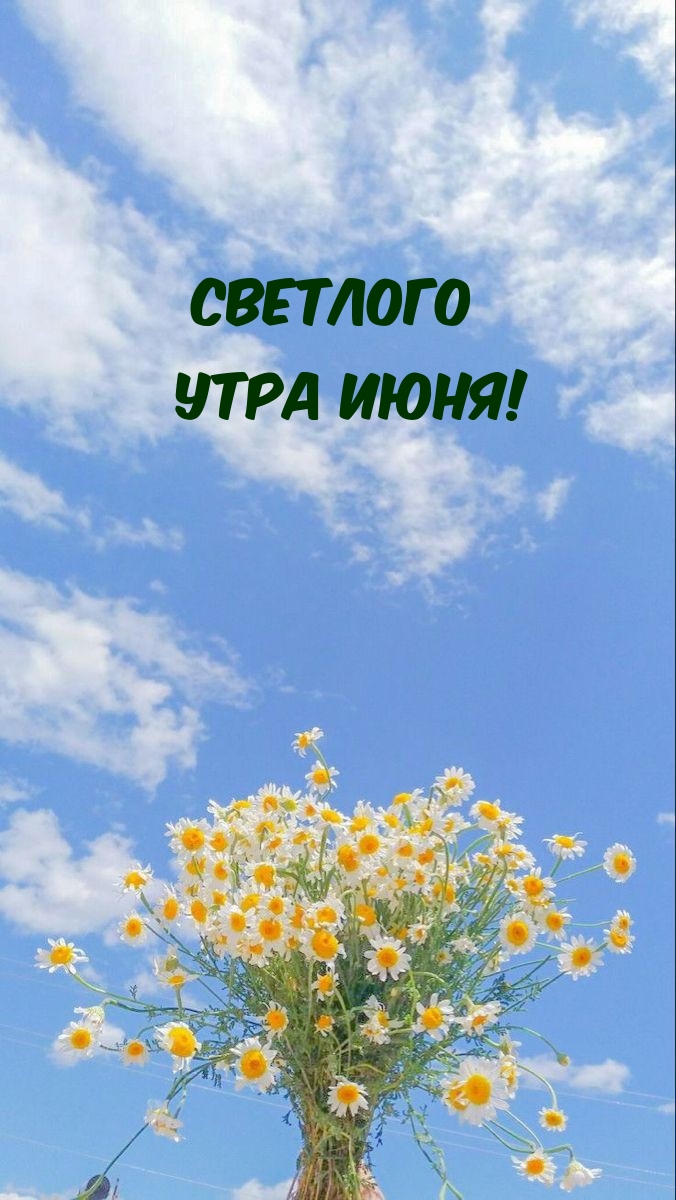   !.