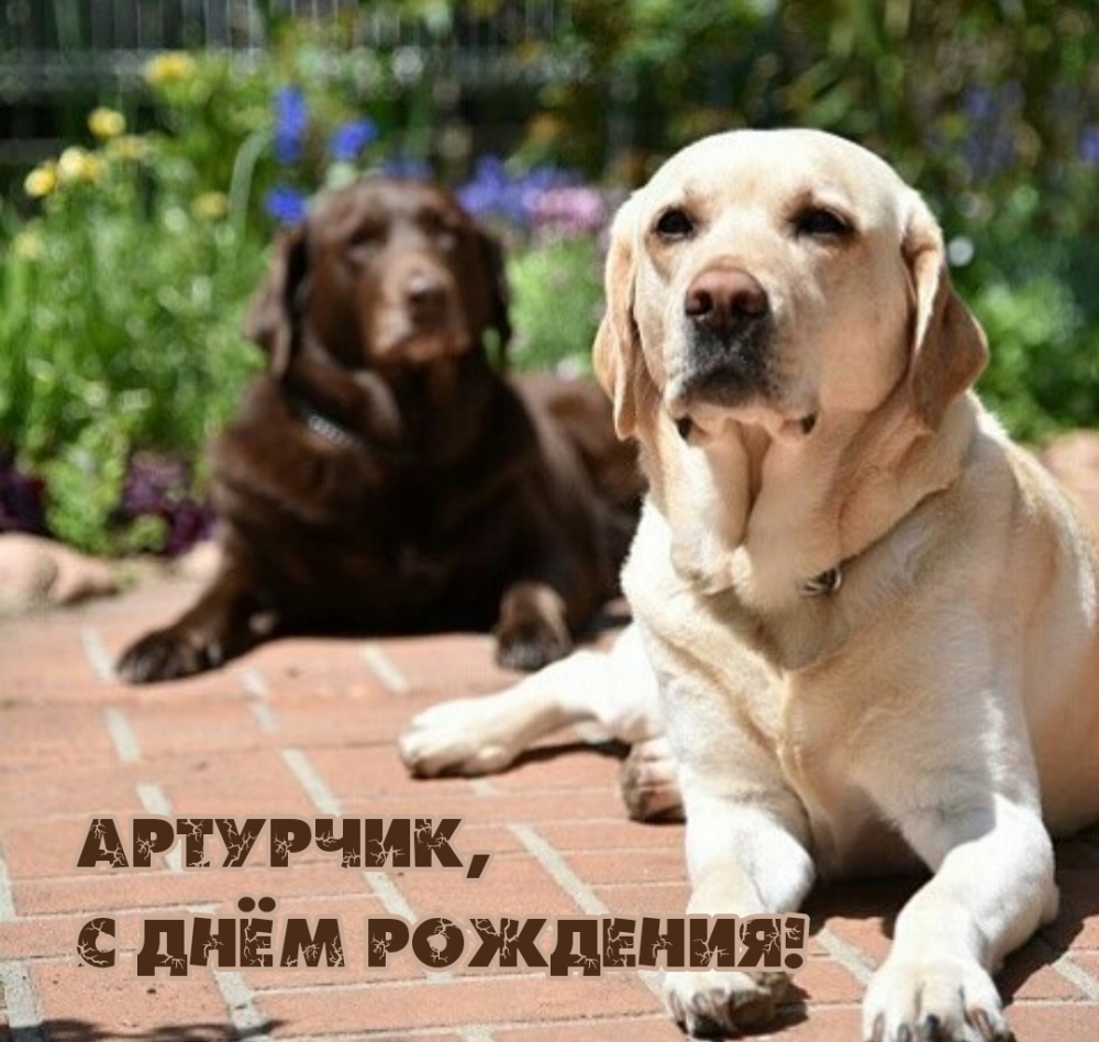 Артурчик, с днём рождения!