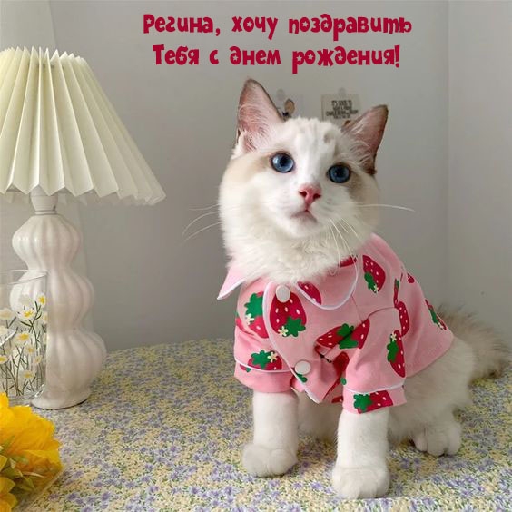Регина, хочу поздравить Тебя с днем рождения!.