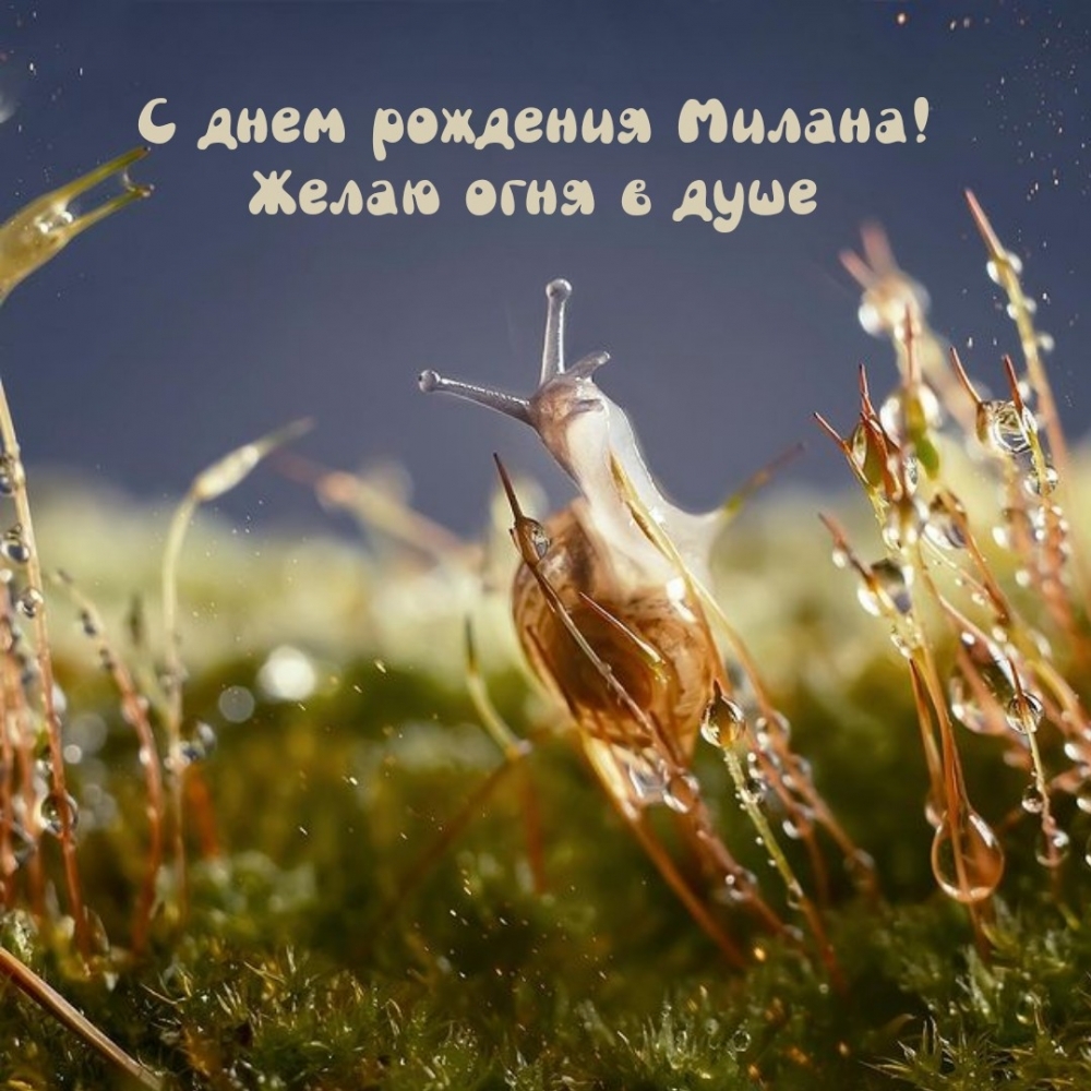 С днем рождения Милана! Желаю огня в душе