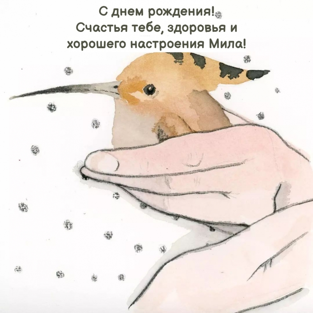 Счастья, здоровья и хорошего настроения Мила! С днем рождения!
