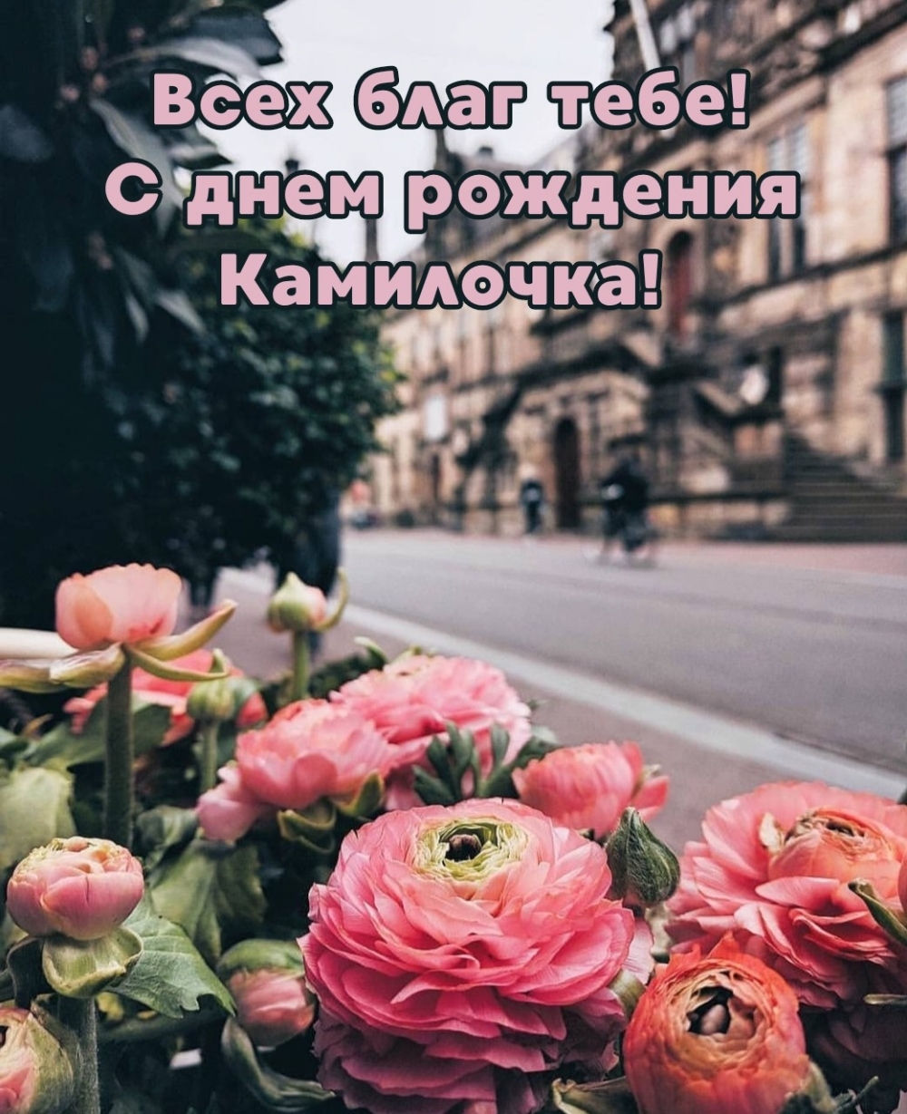   !    ! 