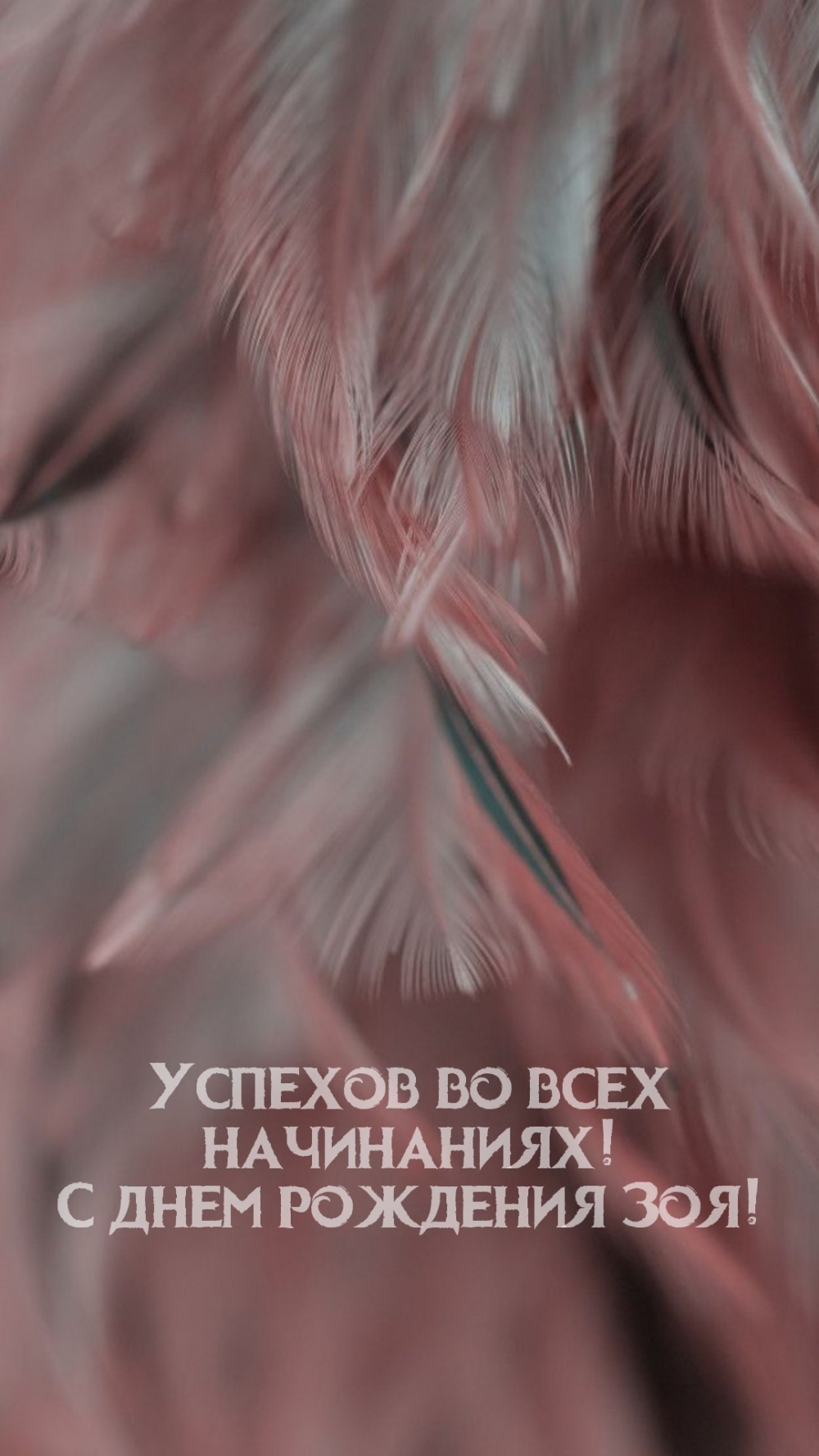 Успехов во всех начинаниях! С днем рождения Зоя!