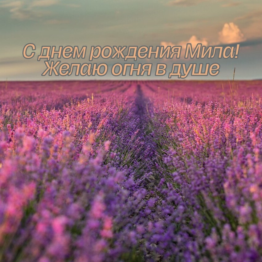    !    