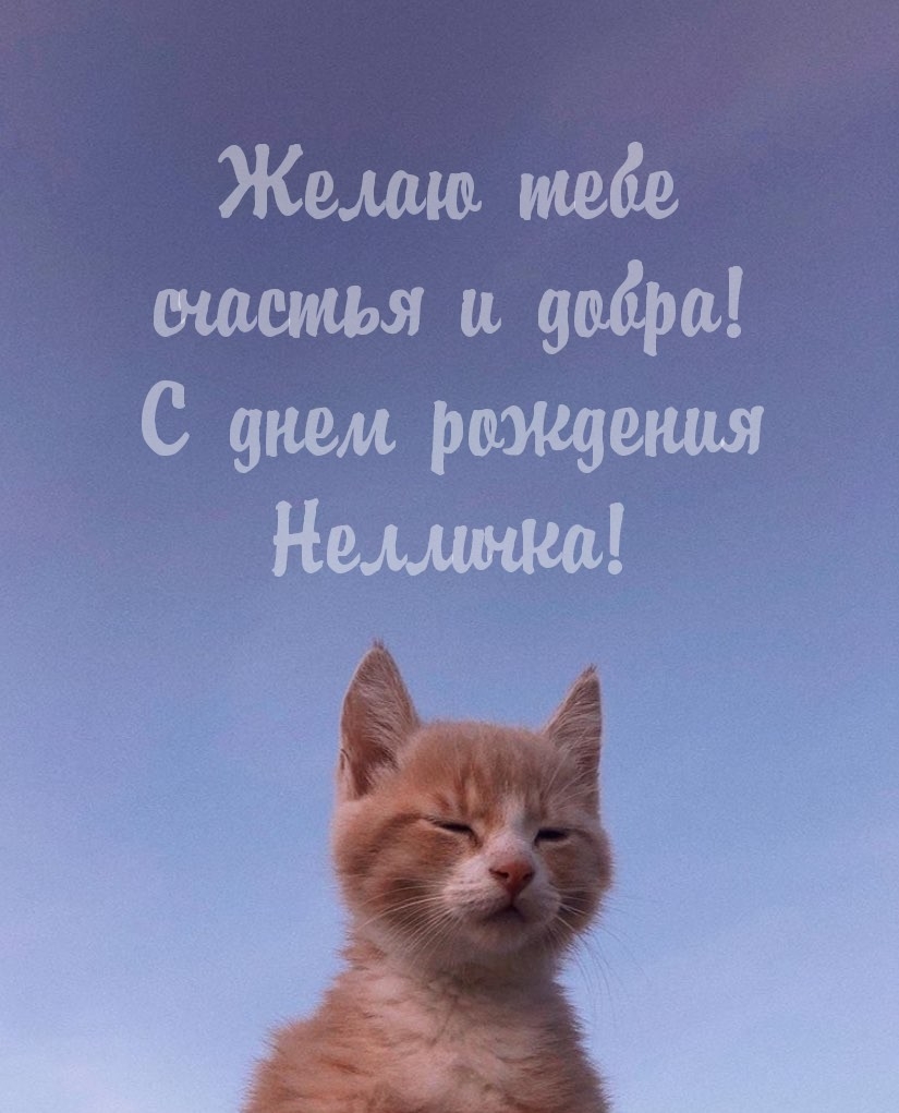     !    !