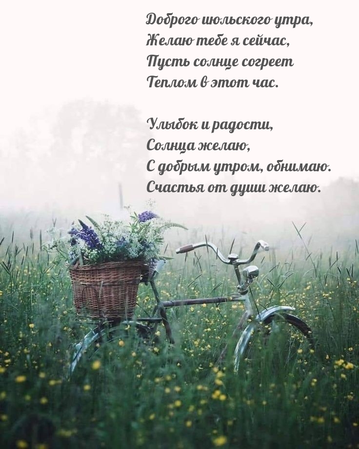   ,   