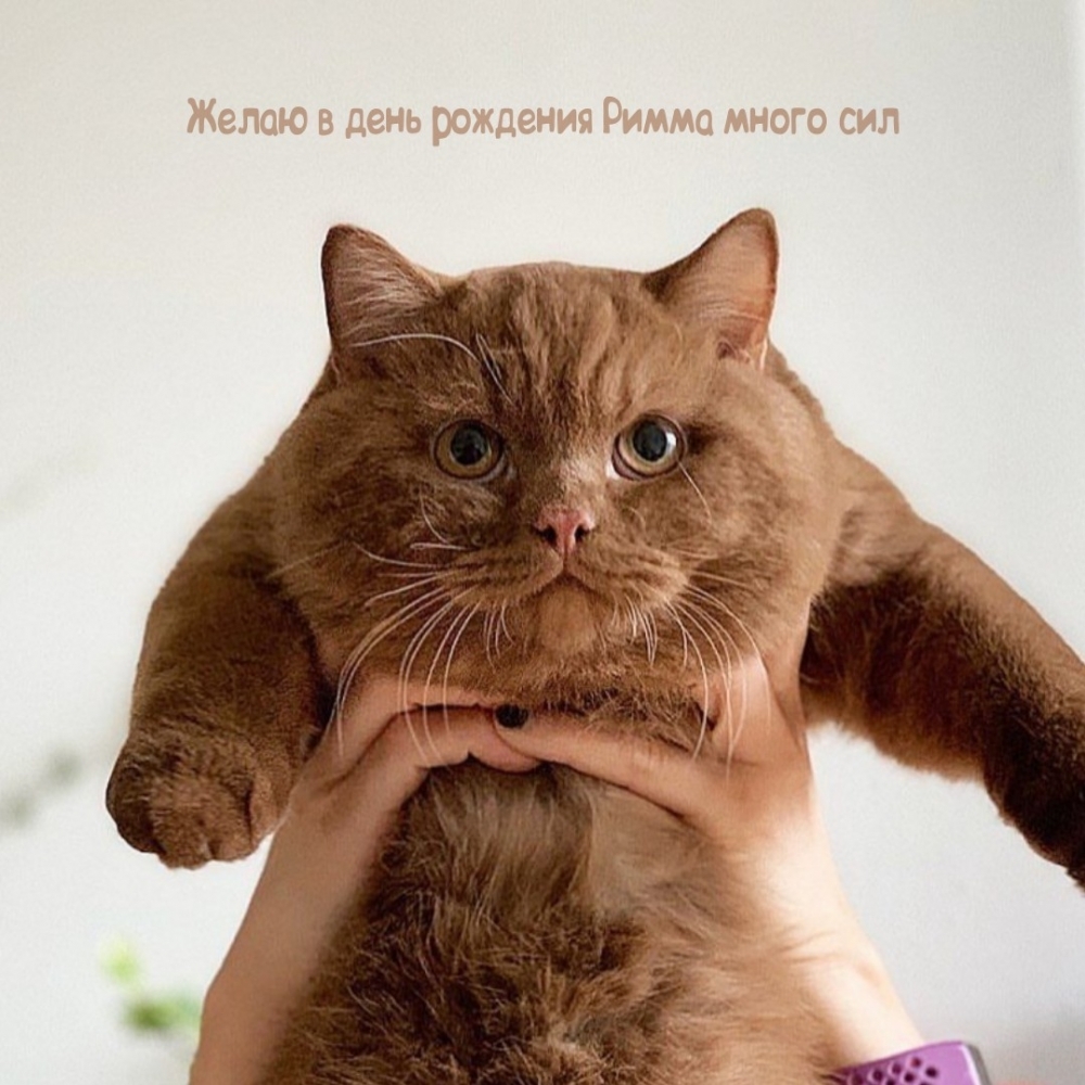 Желаю в день рождения Римма много сил