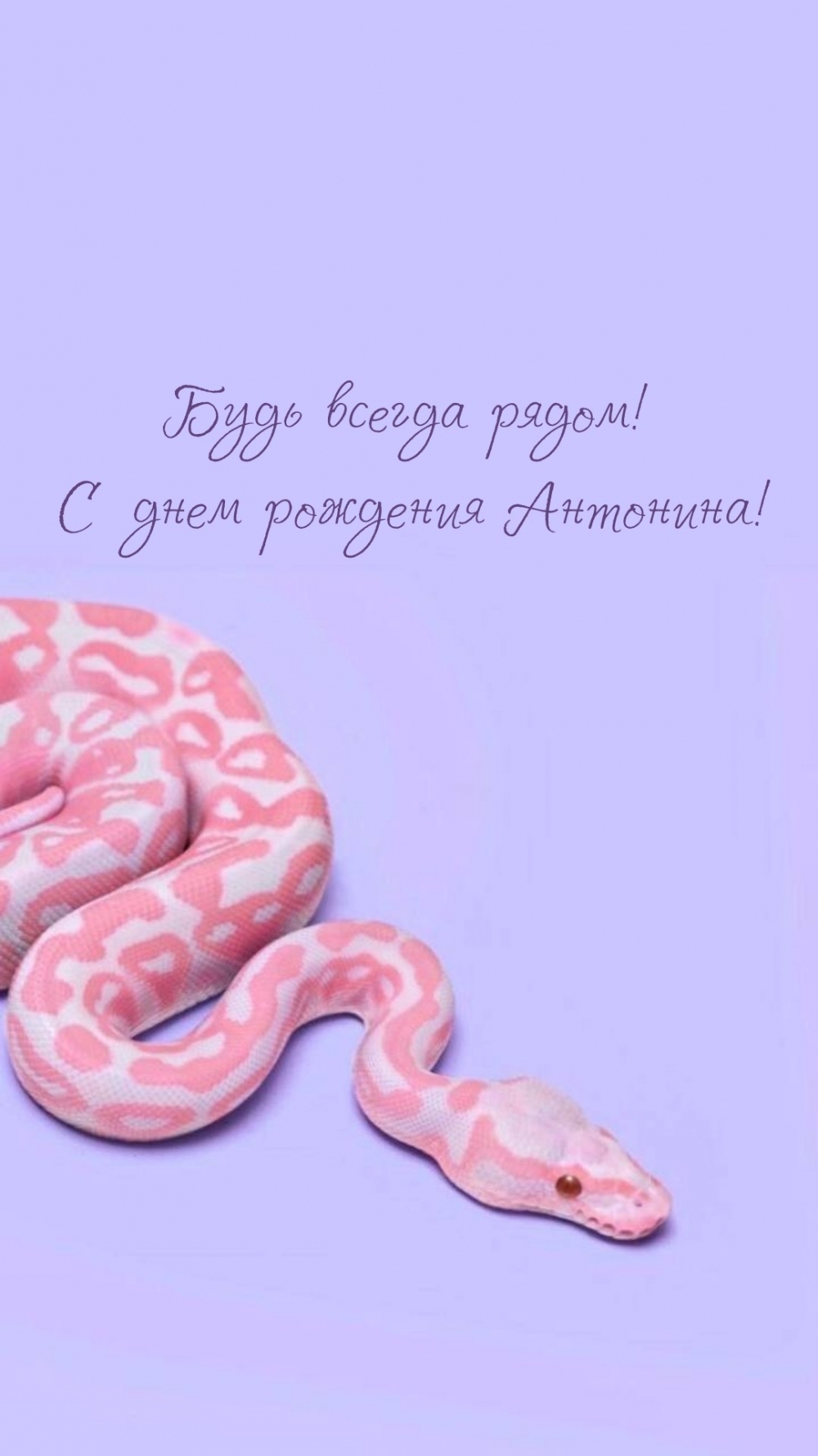  !    !