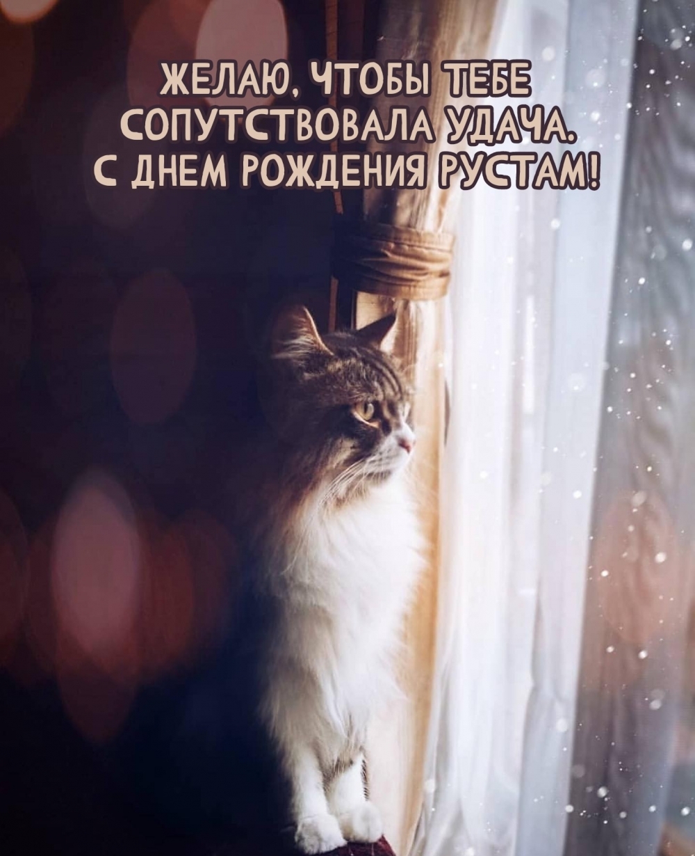 ,    .    !