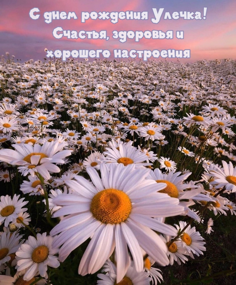    ! ,    