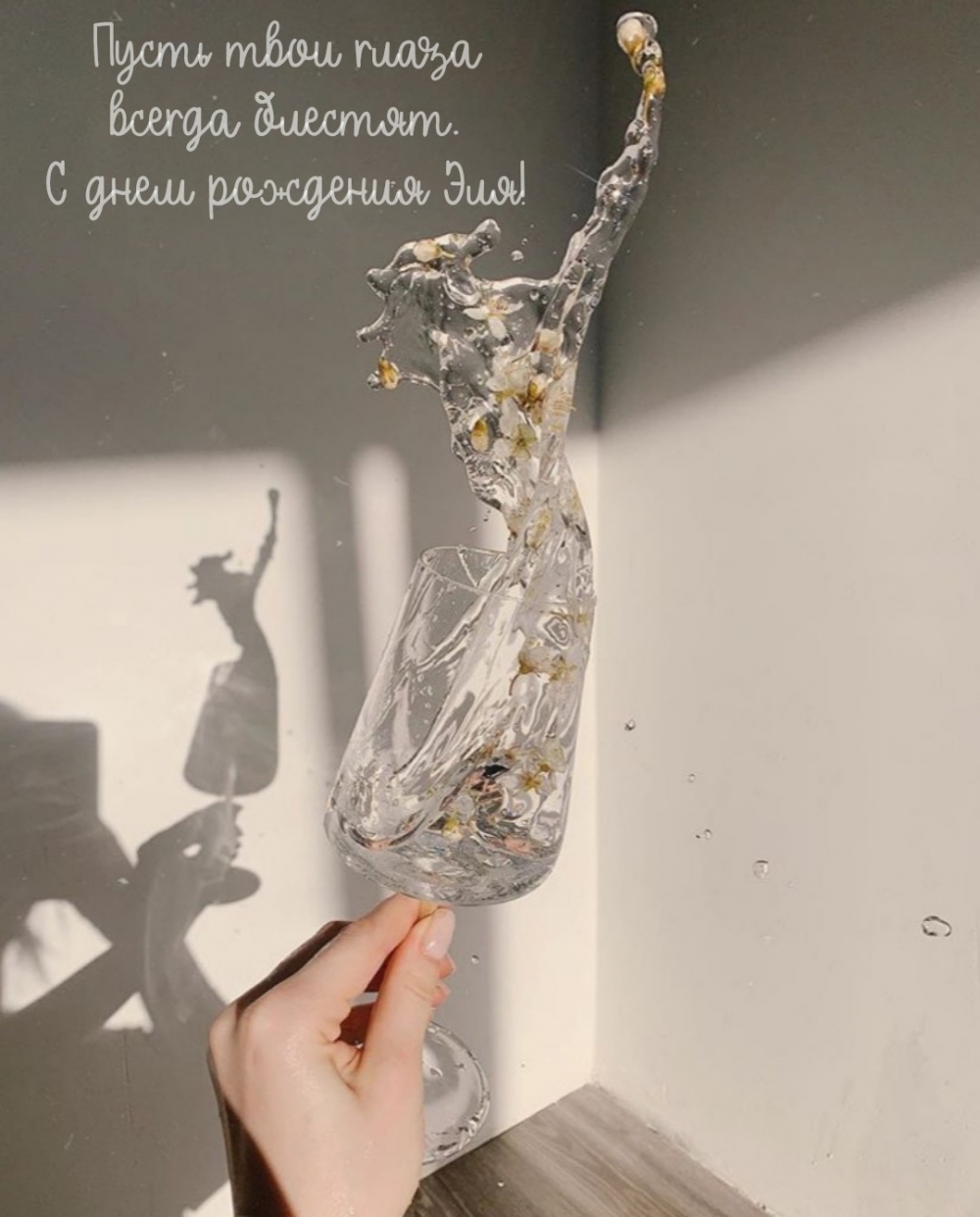 Пусть твои глаза всегда блестят. С днем рождения Эля!