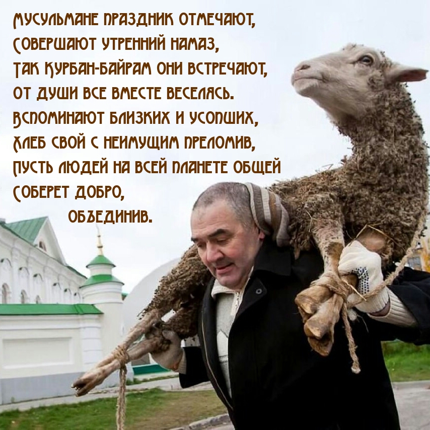   :   ,   