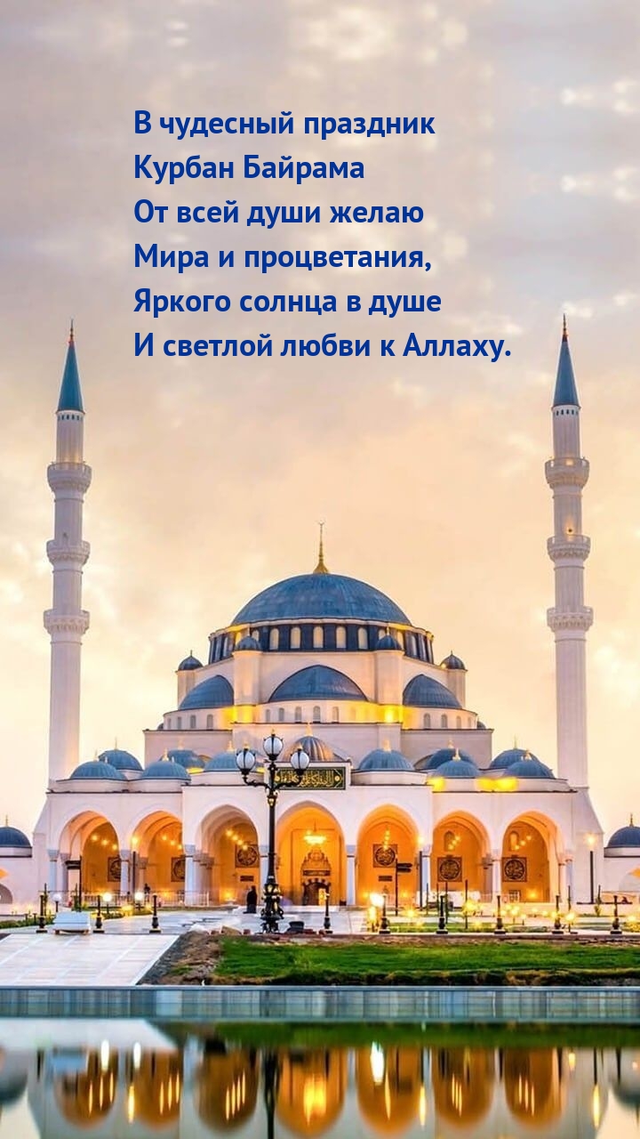   :           