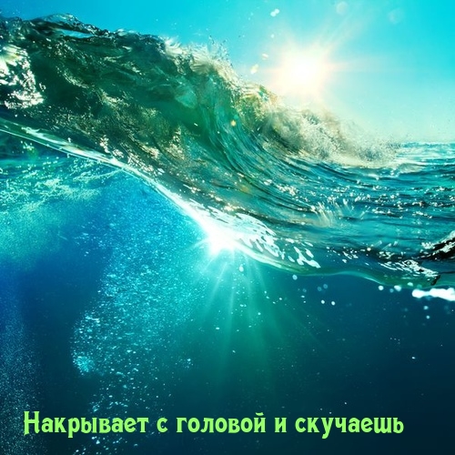   :     