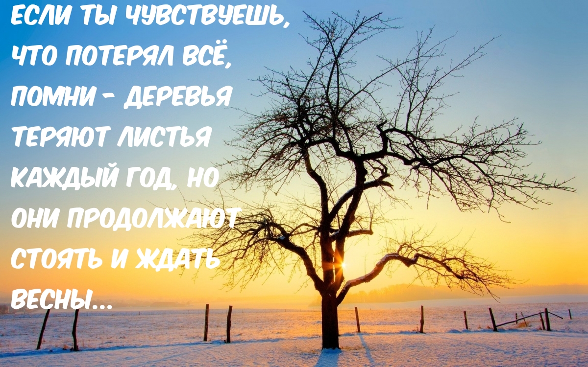   ,   ,  -   