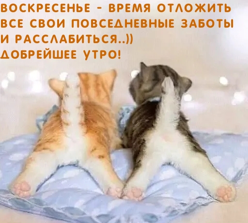   :  -      