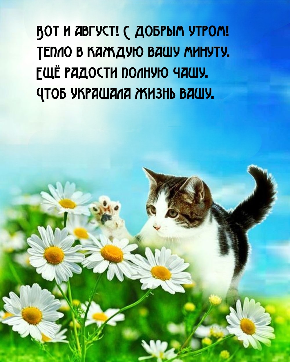   :   !   !     .
