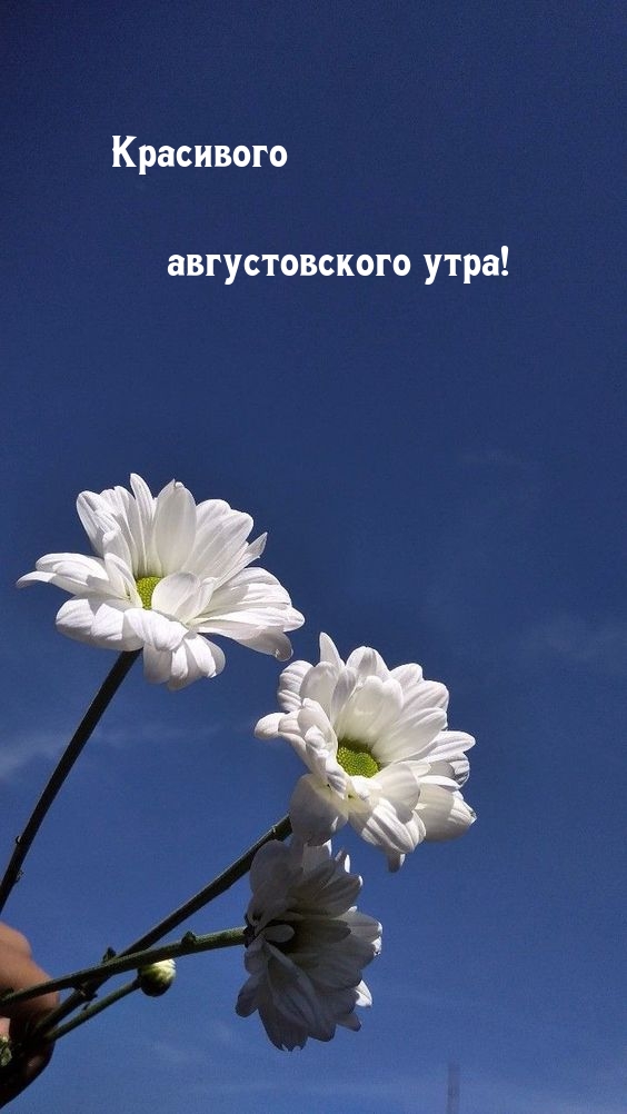   :   !