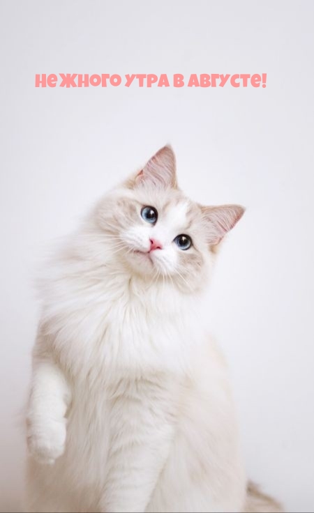    !.