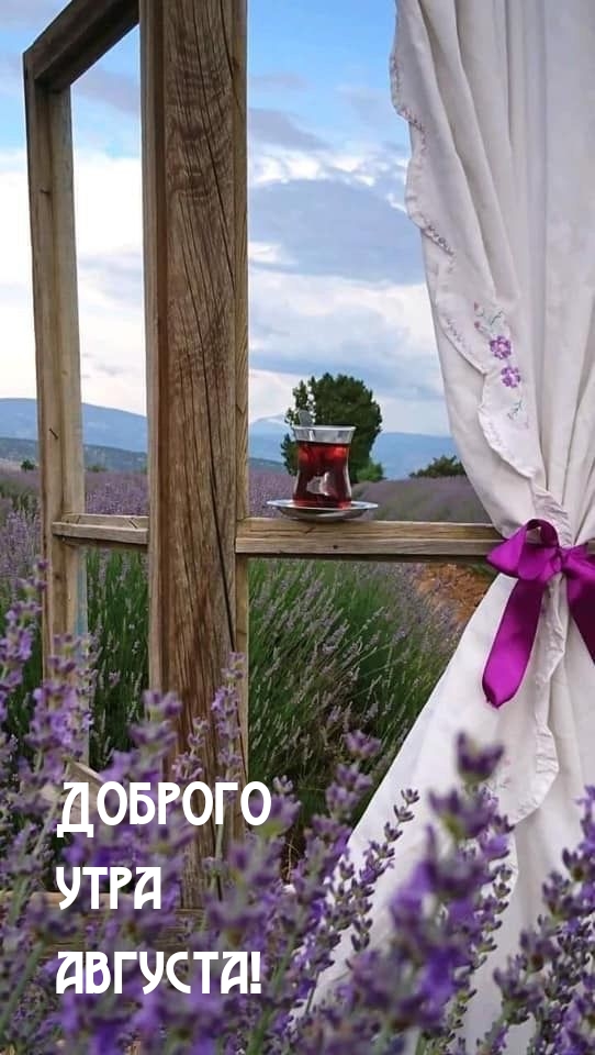 Доброго утра августа!.