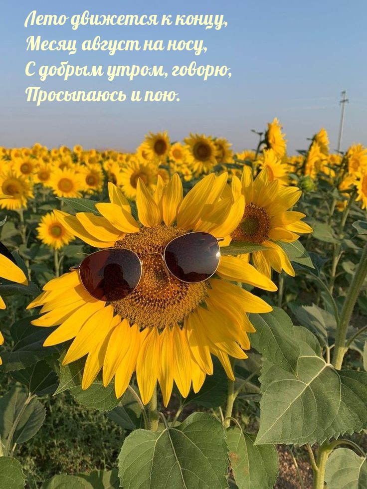   :    ,       