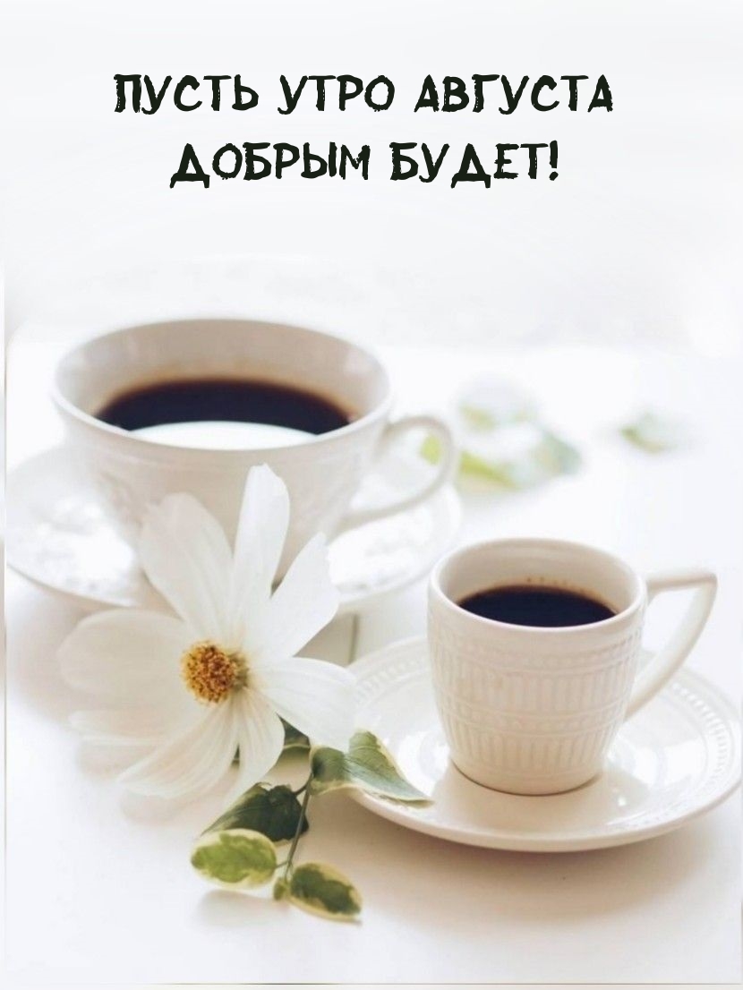 Пусть утро августа добрым будет!