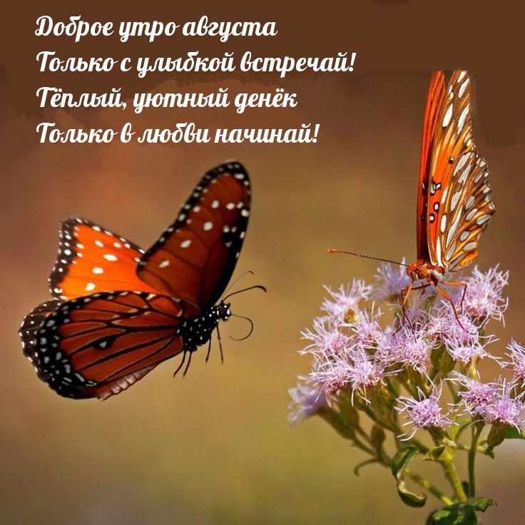 Доброе утро августа только с улыбкой встречай!
