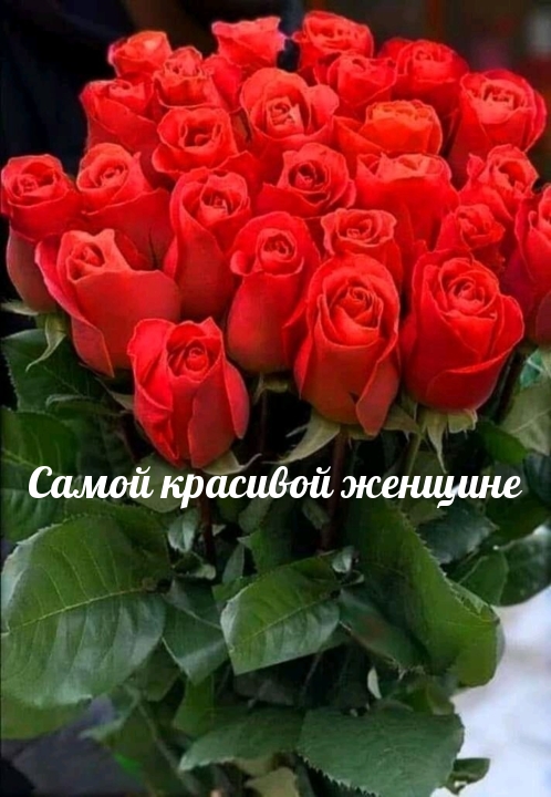   :   