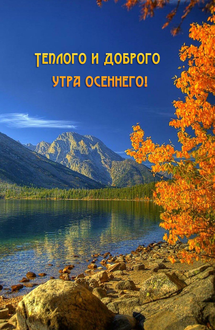 Теплого и доброго утра осеннего!