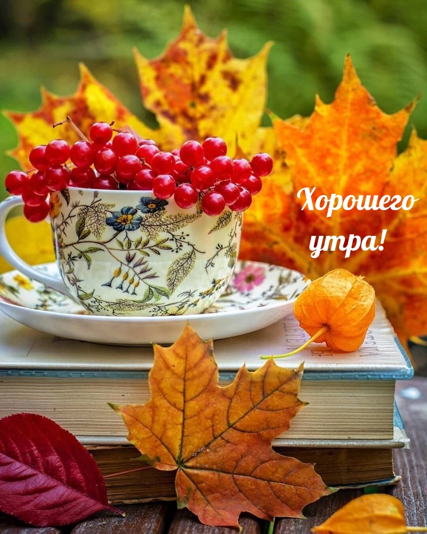 Хорошего утра!