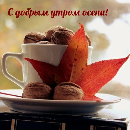 С добрым утром осени!.