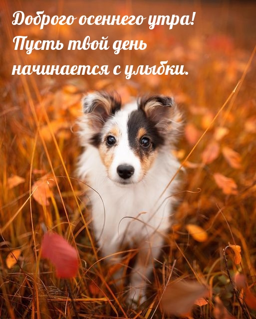   !      ..
