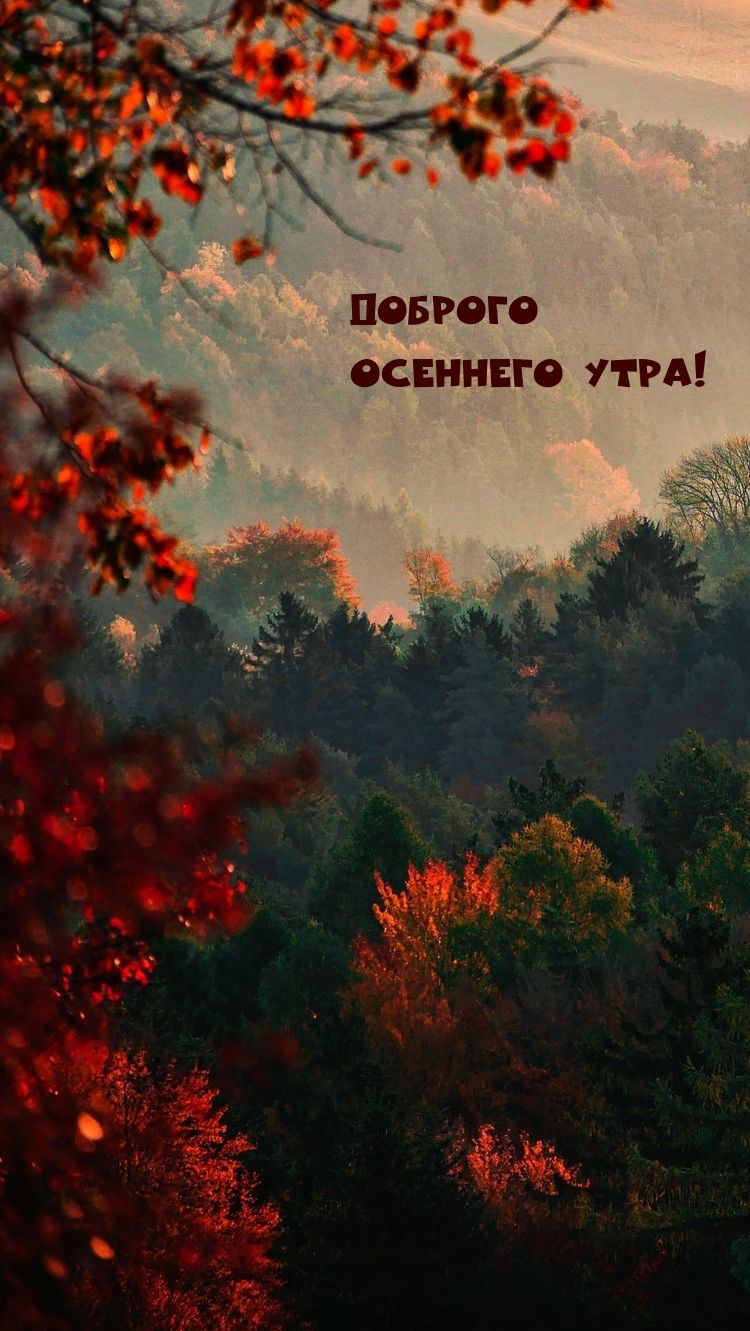   :   !