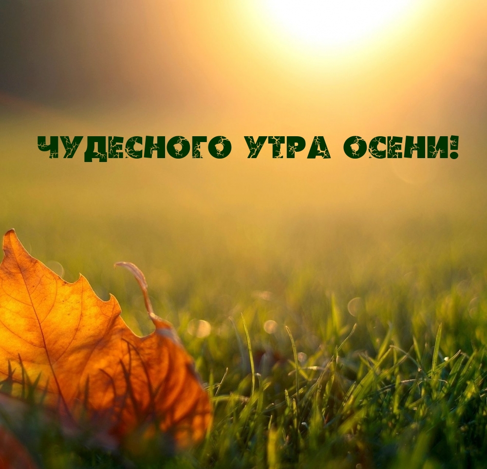 Чудесного утра осени!