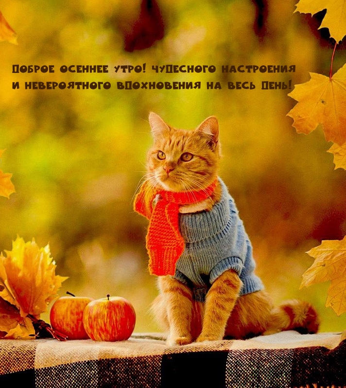   :   !  